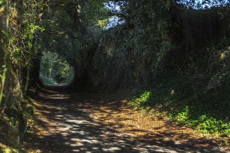 Camino de Santiago. 1ª Etapa Sarria-Portomarín.