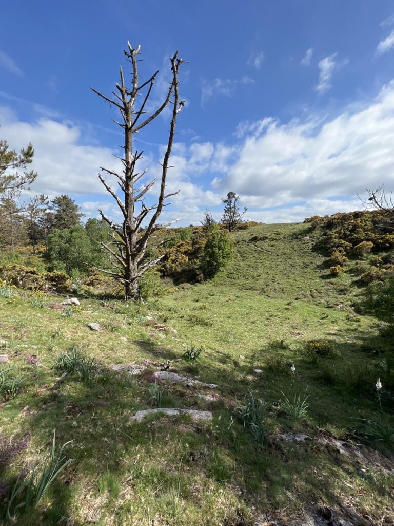 Ruta de senderismo "Senderos de la vida oculta" (2 de mayo)
