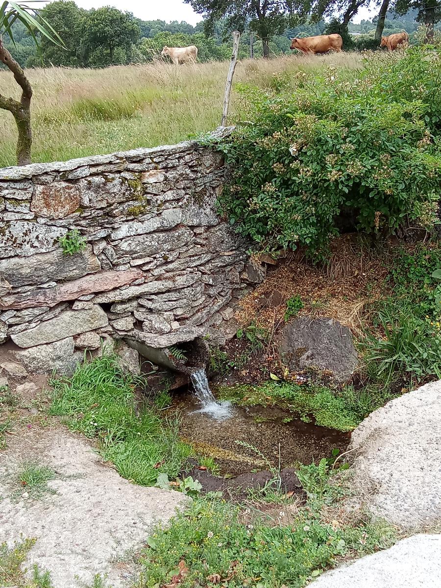 Proyecto 4 Picos / Monte Pilar (803 m) – El techo de la provincia de A Coruña