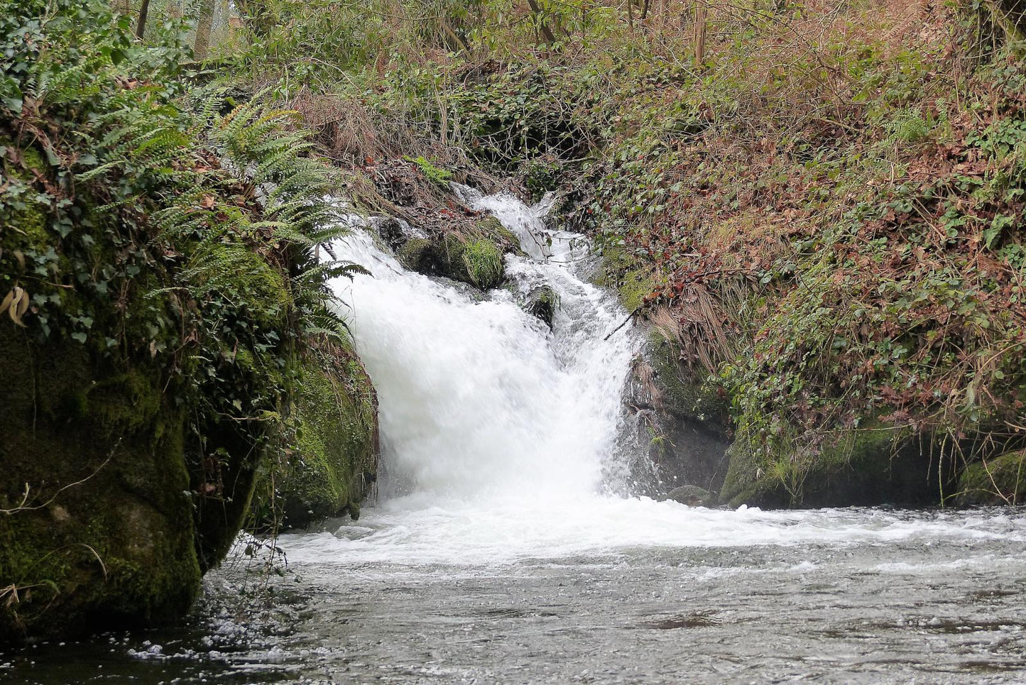 Ruta de senderismo "Senderos de la vida oculta"