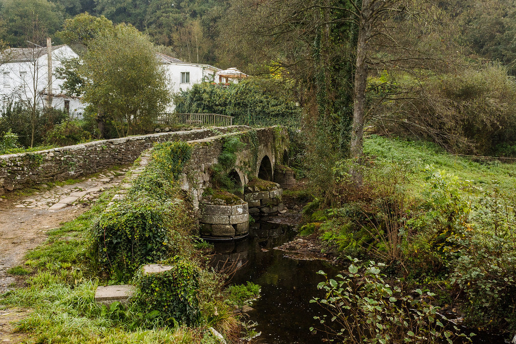 Camino de Santiago. 1ª Etapa Sarria-Portomarín.