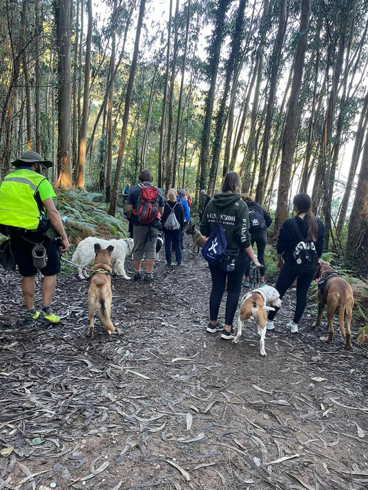Ruta de senderismo en manada.