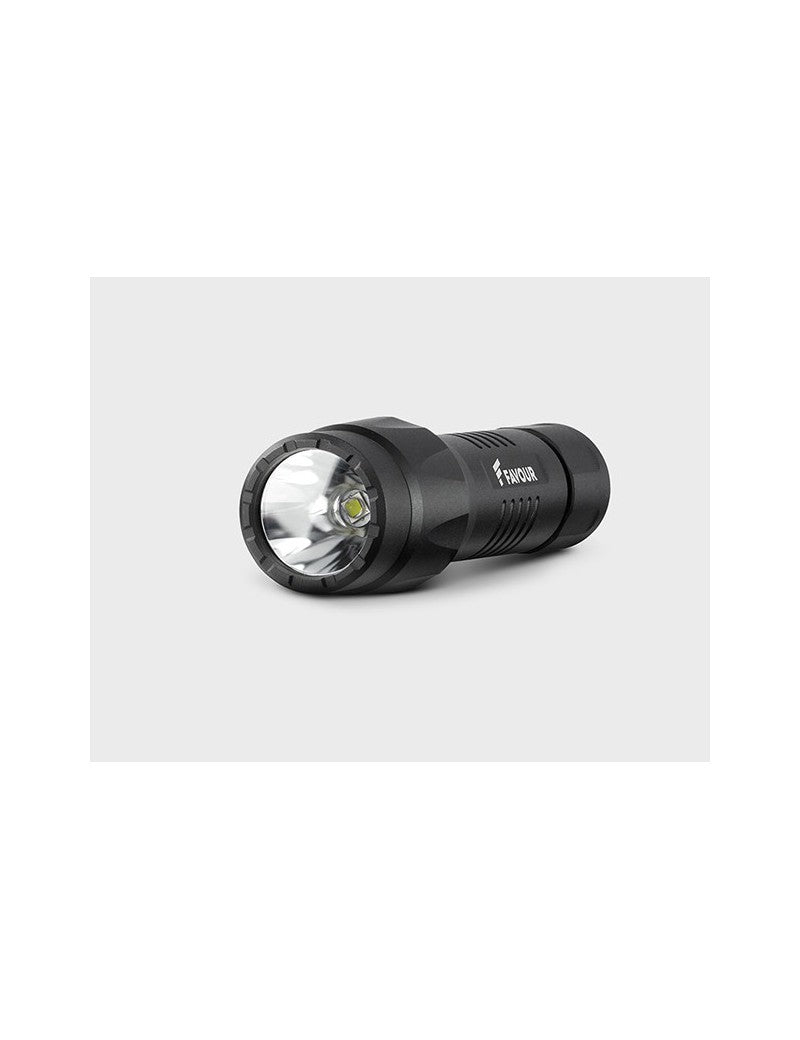 Linterna de mano de alta potencia Favour 1000 Lumens