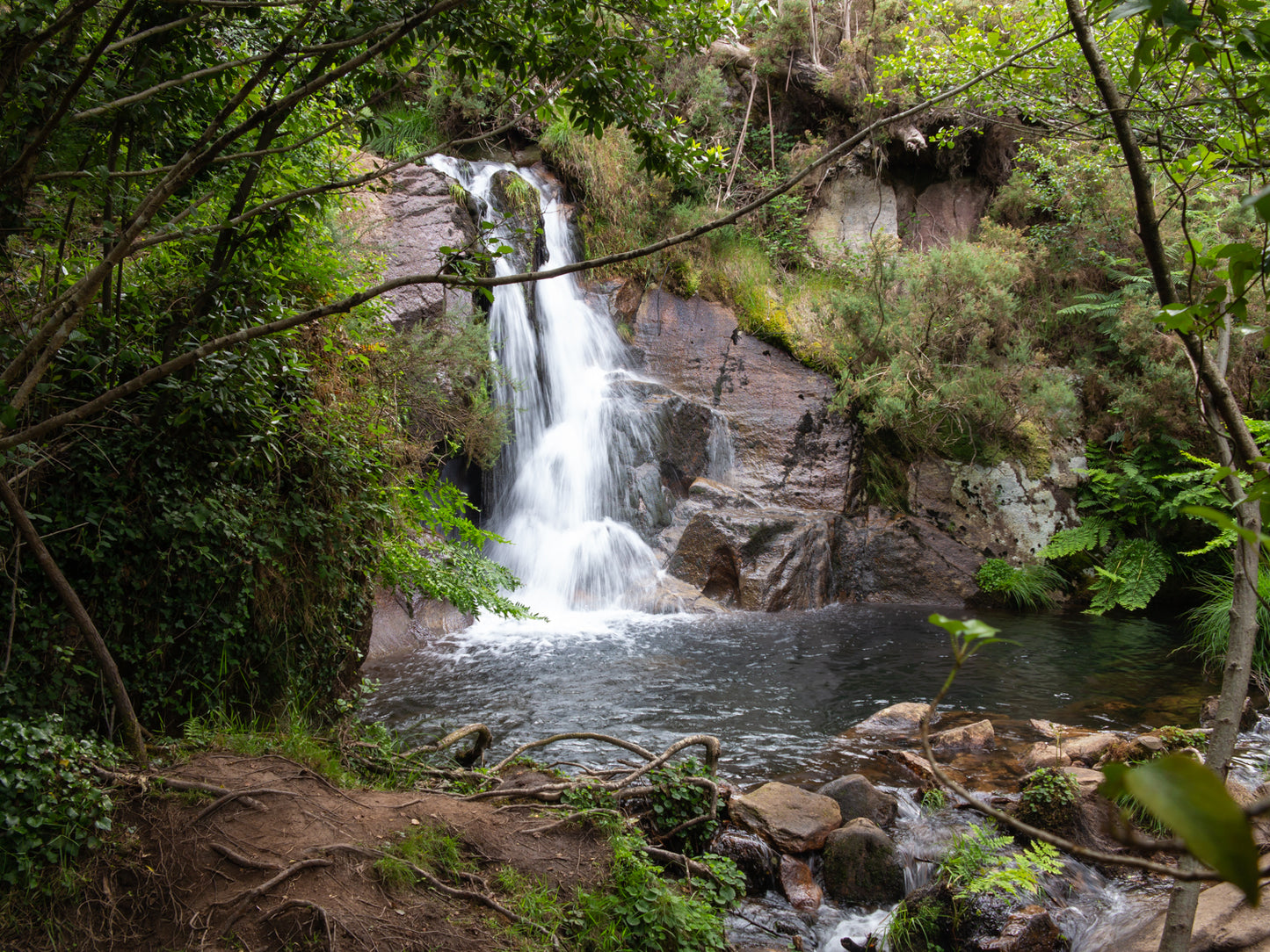 Ruta de senderismo Da Auga de Zas 11-enero-2026