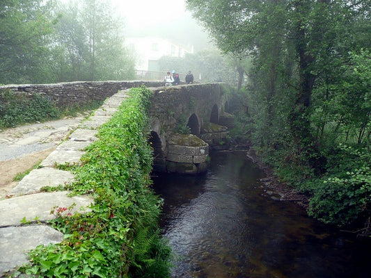 Camino de Santiago. 1ª Etapa Sarria-Portomarín.