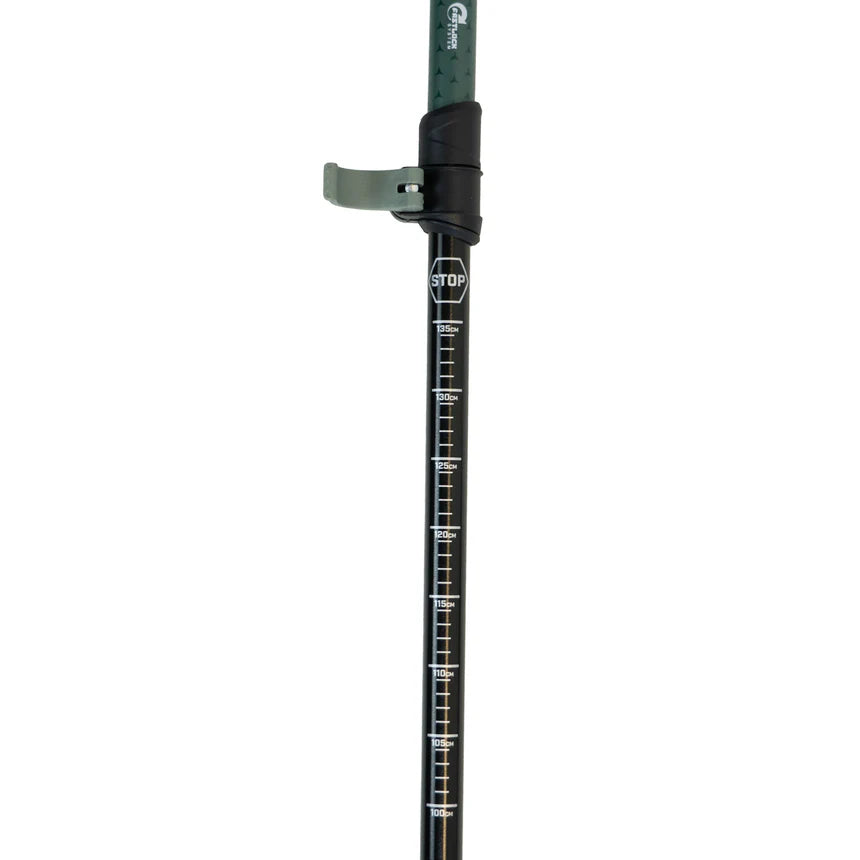 Bastones de senderismo y montaña Highlander (par)