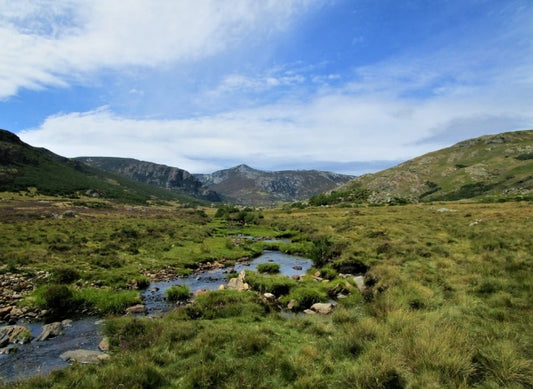 Subida a Peña Trevinca. Curso práctico de senderismo seguro y vivac en media Montaña.