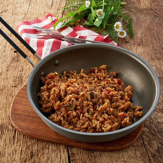 Comida liofilizada trek'n eat ternera stroganoff con arroz 160g