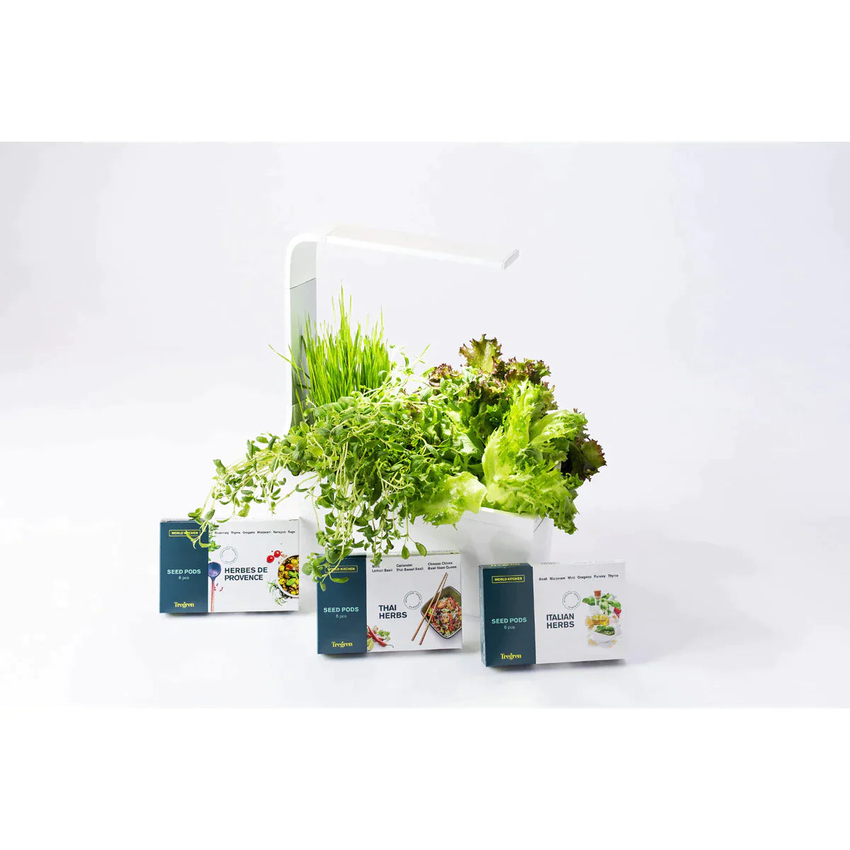 Horta T6 Tregren