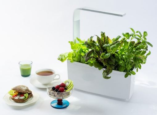 Horta T6 Tregren