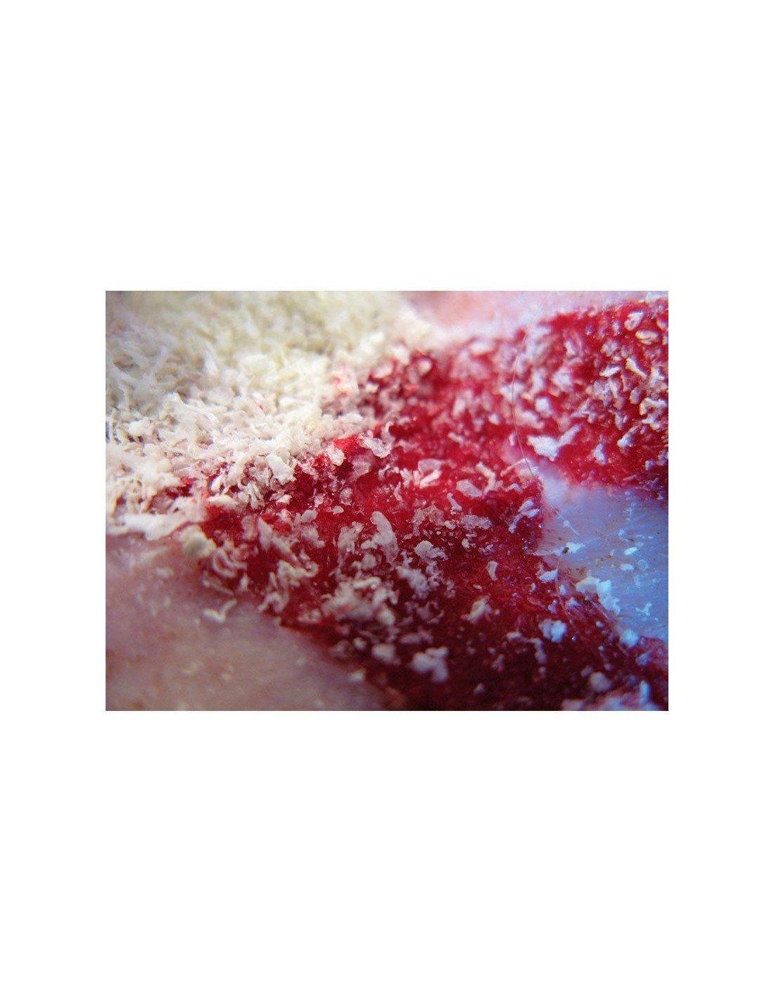 Agente hemostático en polvo celox (sobre 15g) NORTHVIVOR