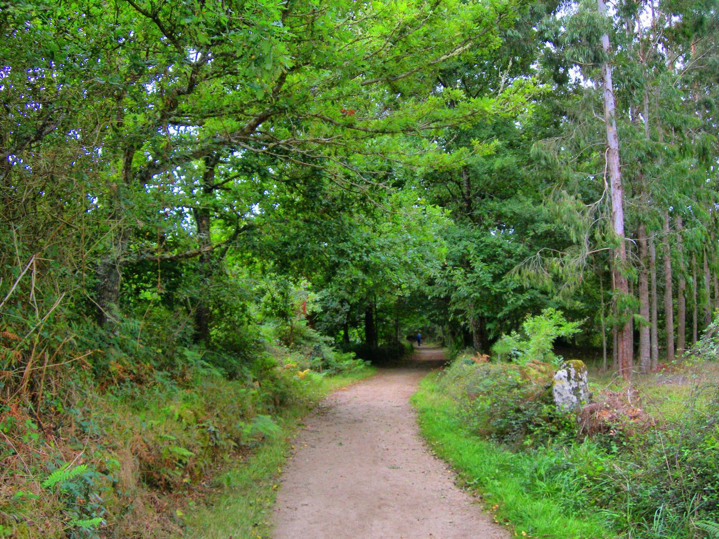 2ª etapa Camino francés de Santiago Portomarín → Palas de Rei