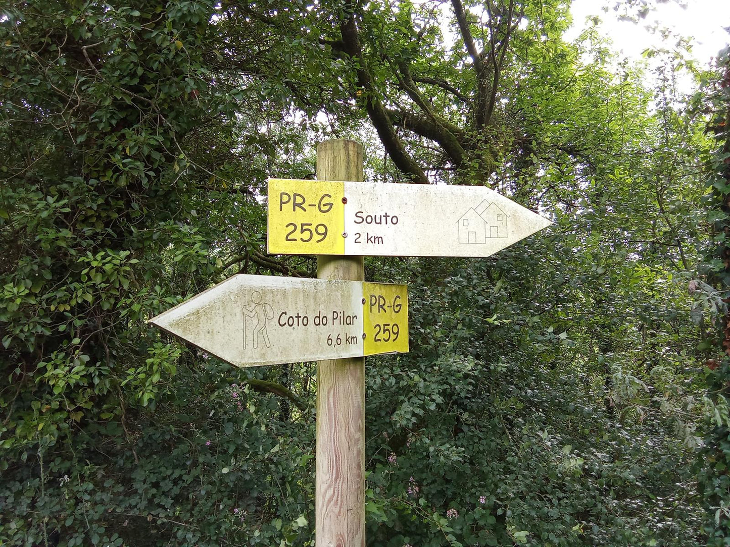 Proyecto 4 Picos / Monte Pilar (803 m) – El techo de la provincia de A Coruña