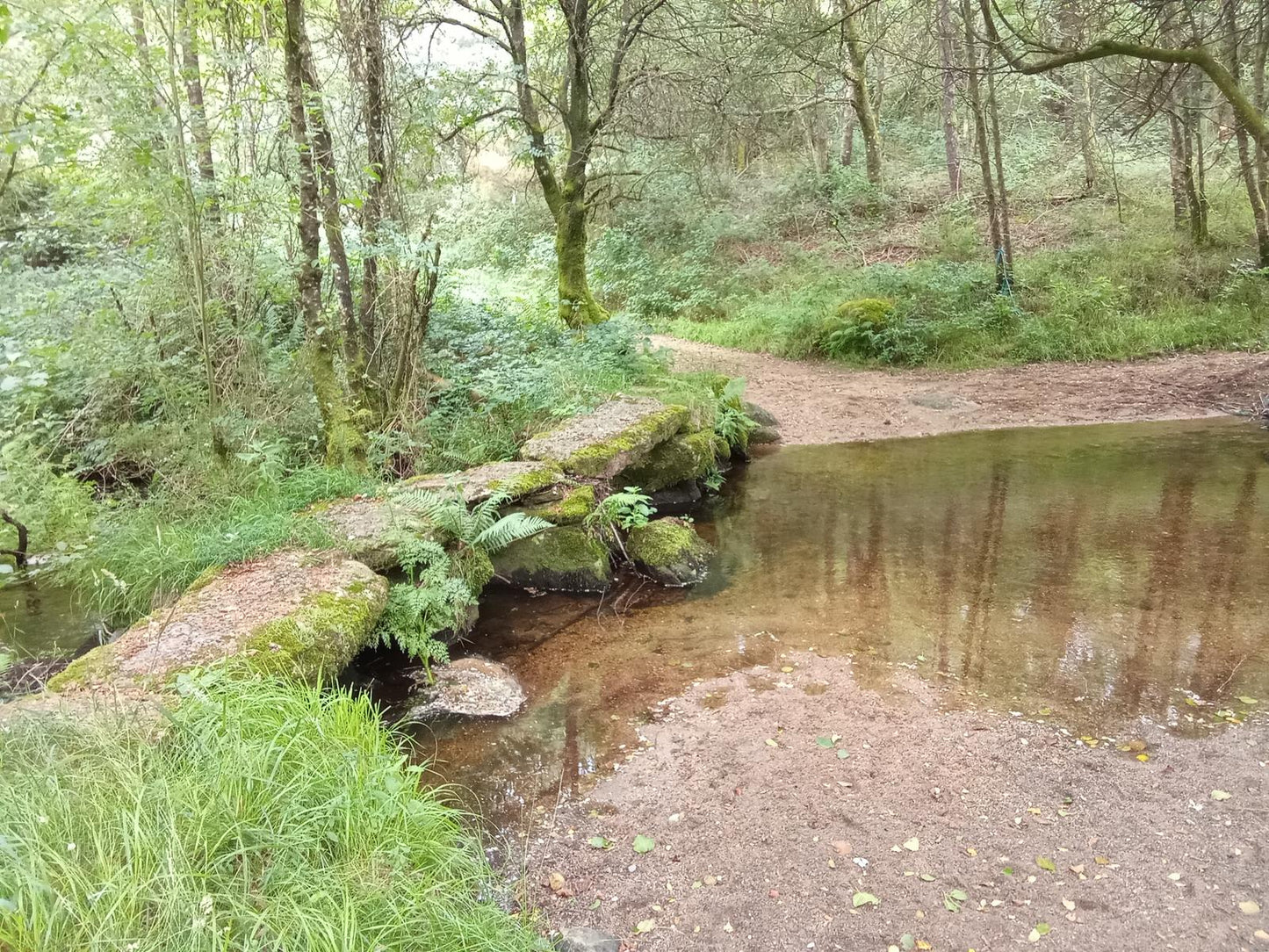 Proyecto 4 Picos / Monte Pilar (803 m) – El techo de la provincia de A Coruña