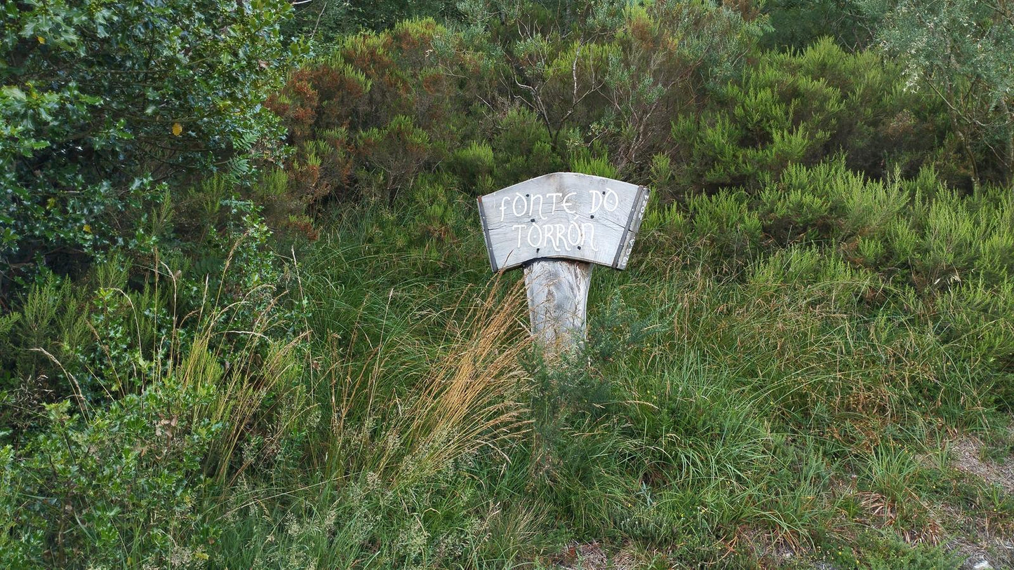 Desafio 4 Picos / El Mustallar (1.935 m) 2ª etapa. El techo de la provincia de Lugo