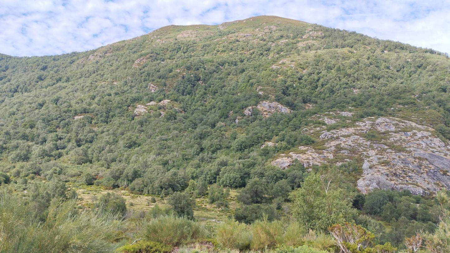 Desafio 4 Picos / El Mustallar (1.935 m) 2ª etapa. El techo de la provincia de Lugo