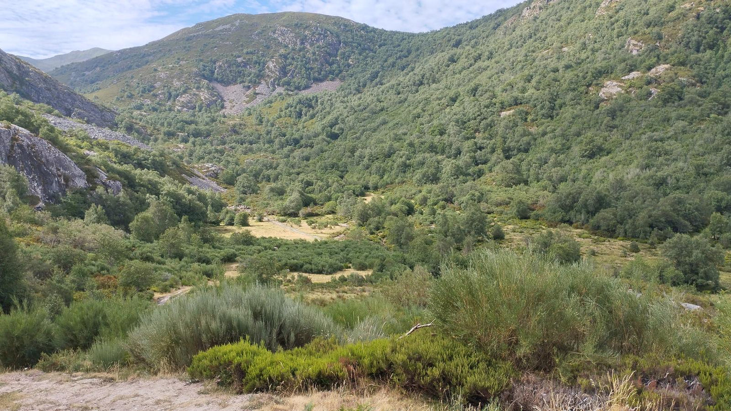 Desafio 4 Picos / El Mustallar (1.935 m) 2ª etapa. El techo de la provincia de Lugo
