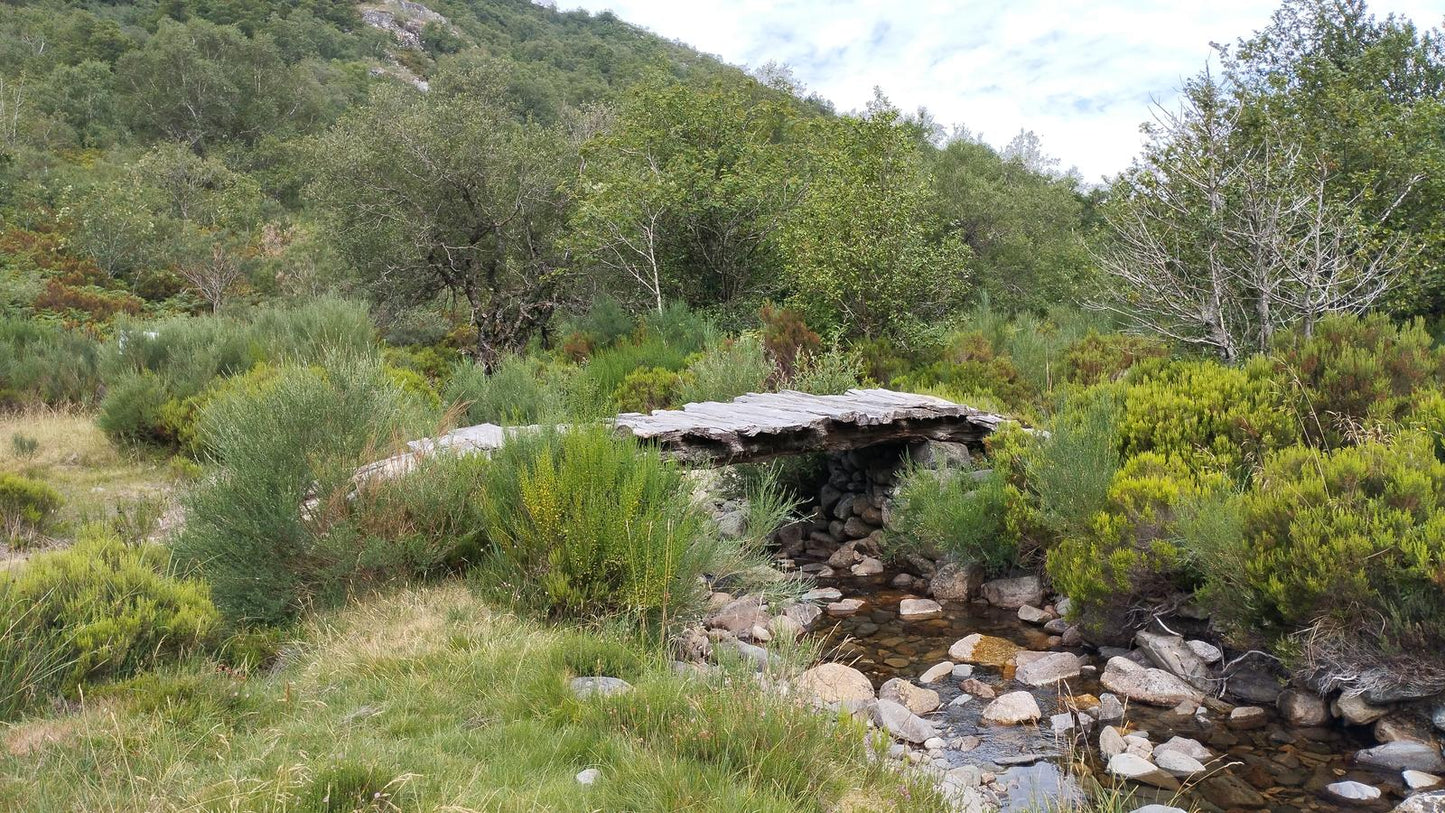 Desafio 4 Picos / El Mustallar (1.935 m) 2ª etapa. El techo de la provincia de Lugo