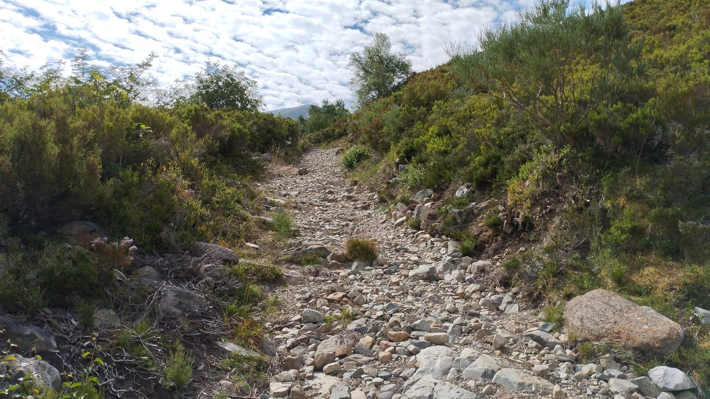 Desafio 4 Picos / El Mustallar (1.935 m) 2ª etapa. El techo de la provincia de Lugo