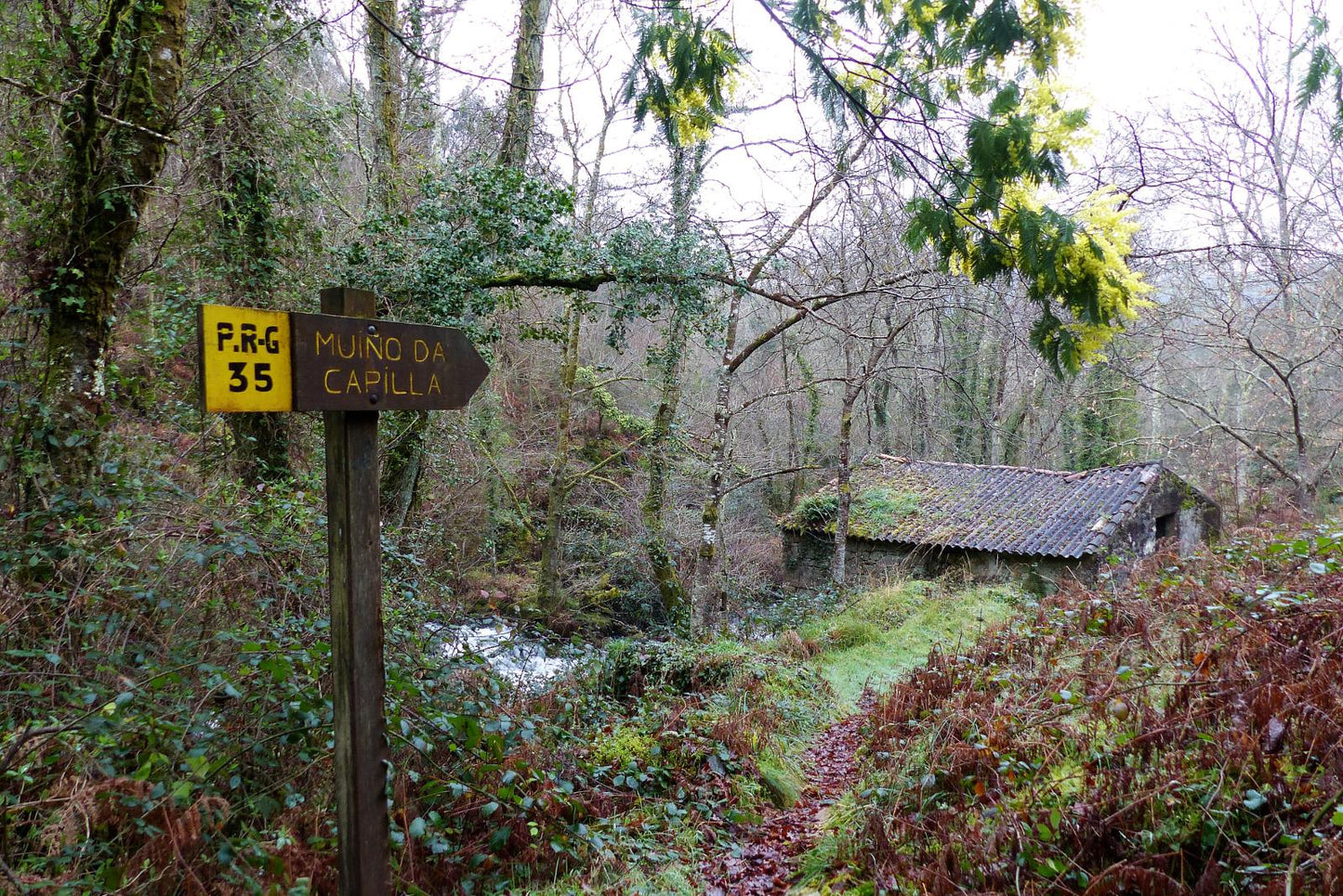 Ruta de senderismo "Senderos de la vida oculta"