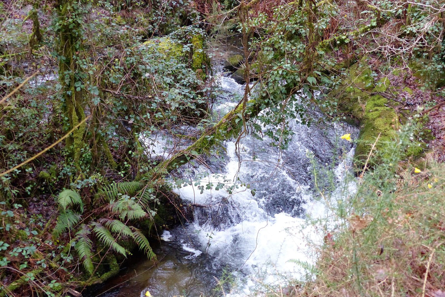 Ruta de senderismo "Senderos de la vida oculta"