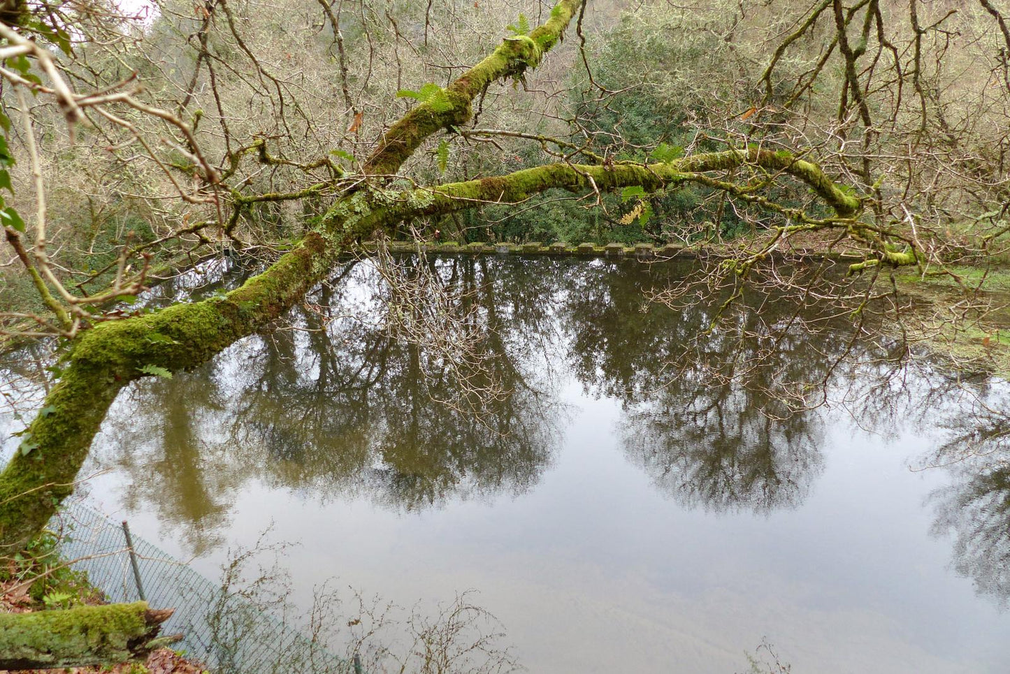 Ruta de senderismo "Senderos de la vida oculta"