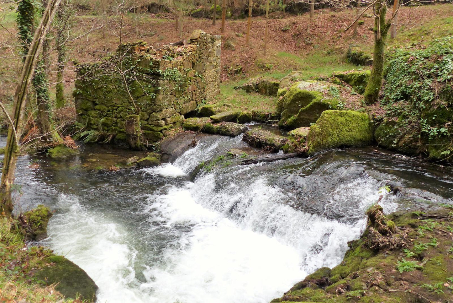 Ruta de senderismo "Senderos de la vida oculta"