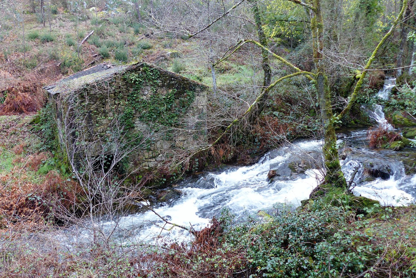 Ruta de senderismo "Senderos de la vida oculta"