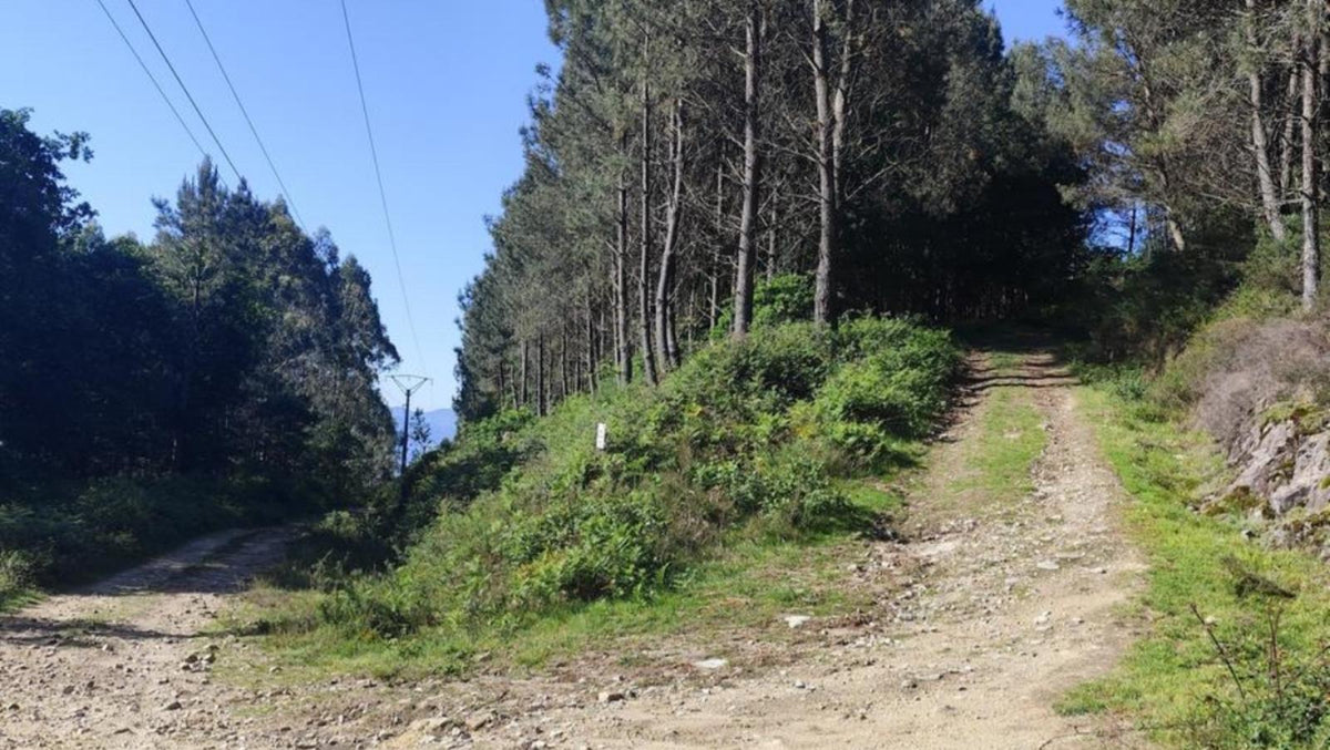 Desafio 4 Picos / Monte Faro ( 1.181m) 3ª etapa. El techo de la provincia de Pontevedra (31-enero-2027)