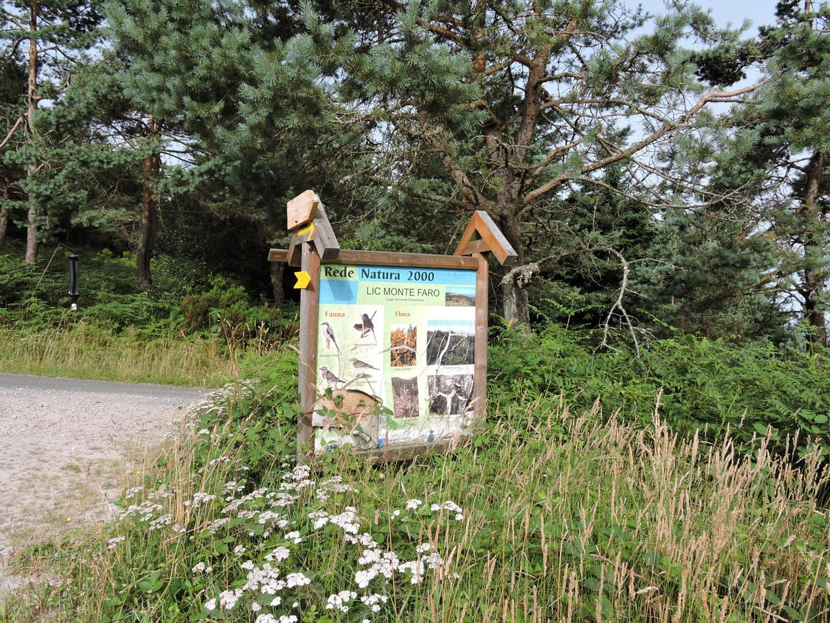 Desafio 4 Picos / Monte Faro ( 1.181m) 3ª etapa. El techo de la provincia de Pontevedra (31-enero-2027)