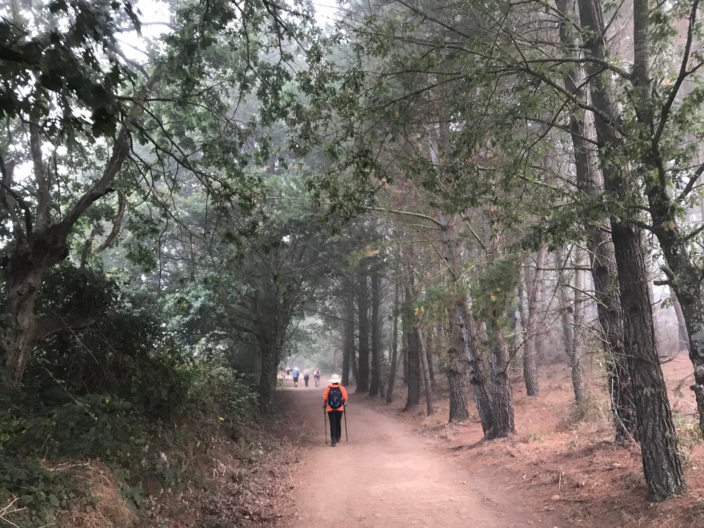 2ª etapa Camino francés de Santiago Portomarín → Palas de Rei