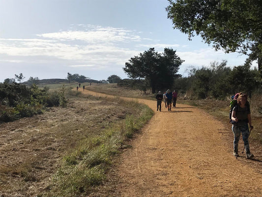 2ª etapa Camino francés de Santiago Portomarín → Palas de Rei