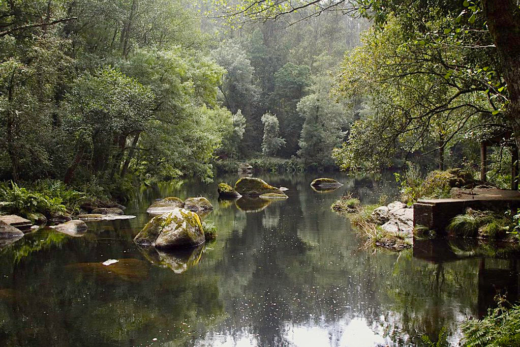 Senderos de la vida oculta. Ruta de Chelo y el río Mandeo ( 10 de Octubre)