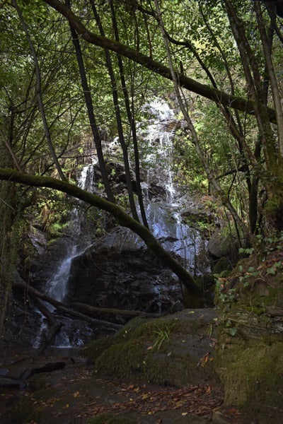 Ruta de senderismo PR-G 93, Cauce do rio Ulla