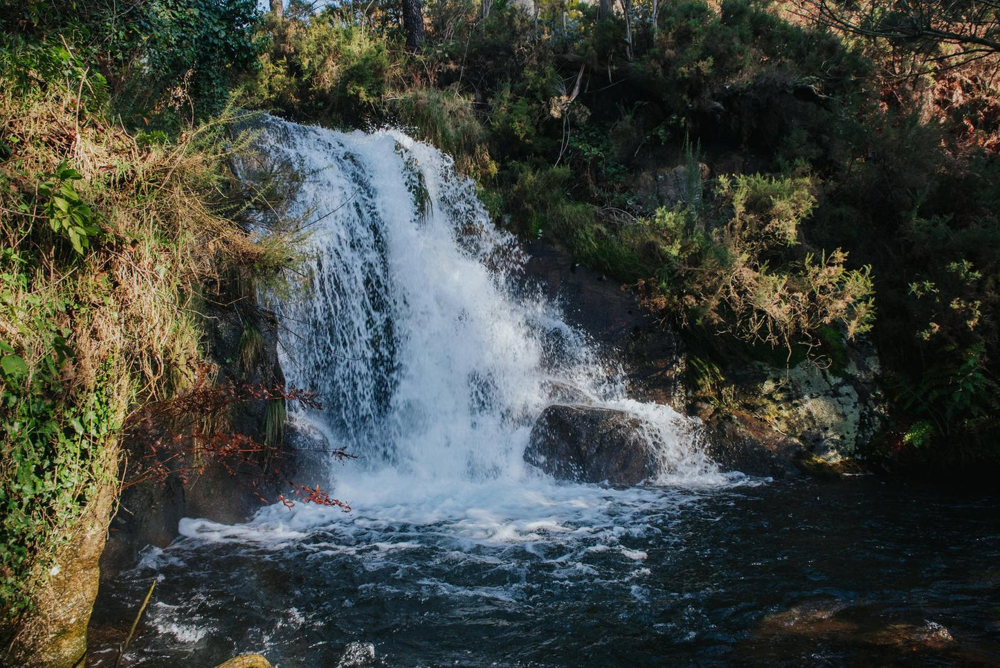 Ruta de senderismo Da Auga de Zas  11-enero-2026