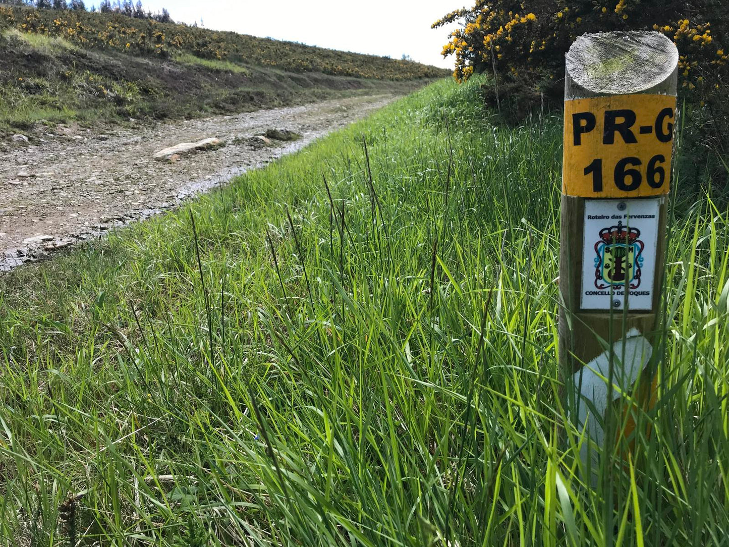 Ruta de senderismo PR G-166. Fervenzas de Toques e das Brañas. (22 de febrero)