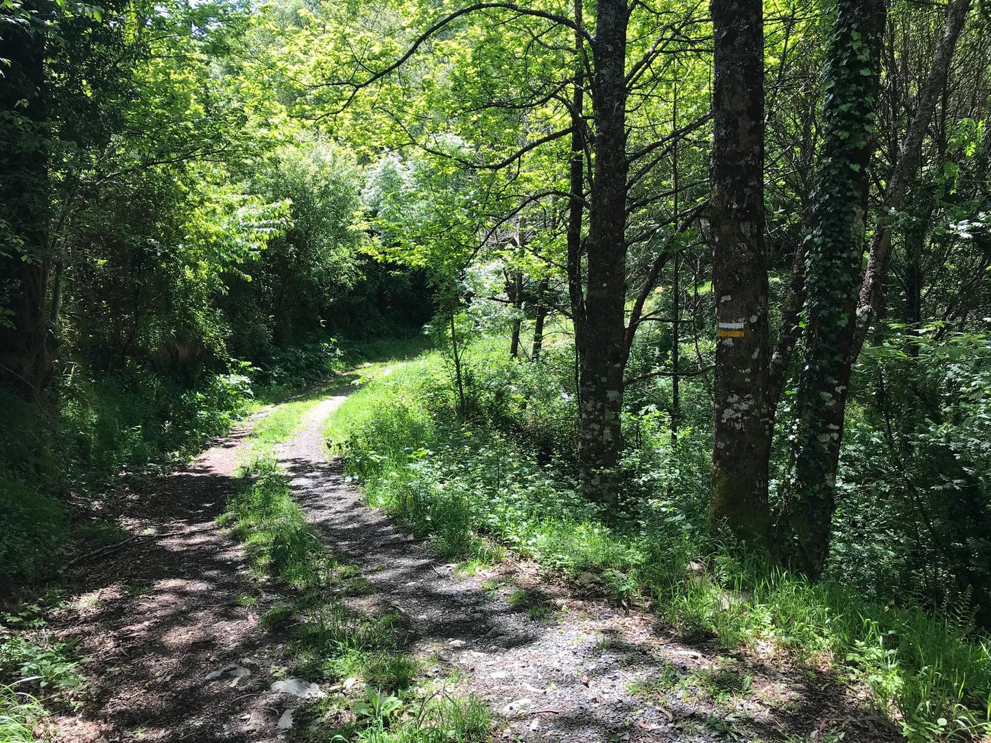 Ruta de senderismo PR G-166. Fervenzas de Toques e das Brañas. (22 de febrero)