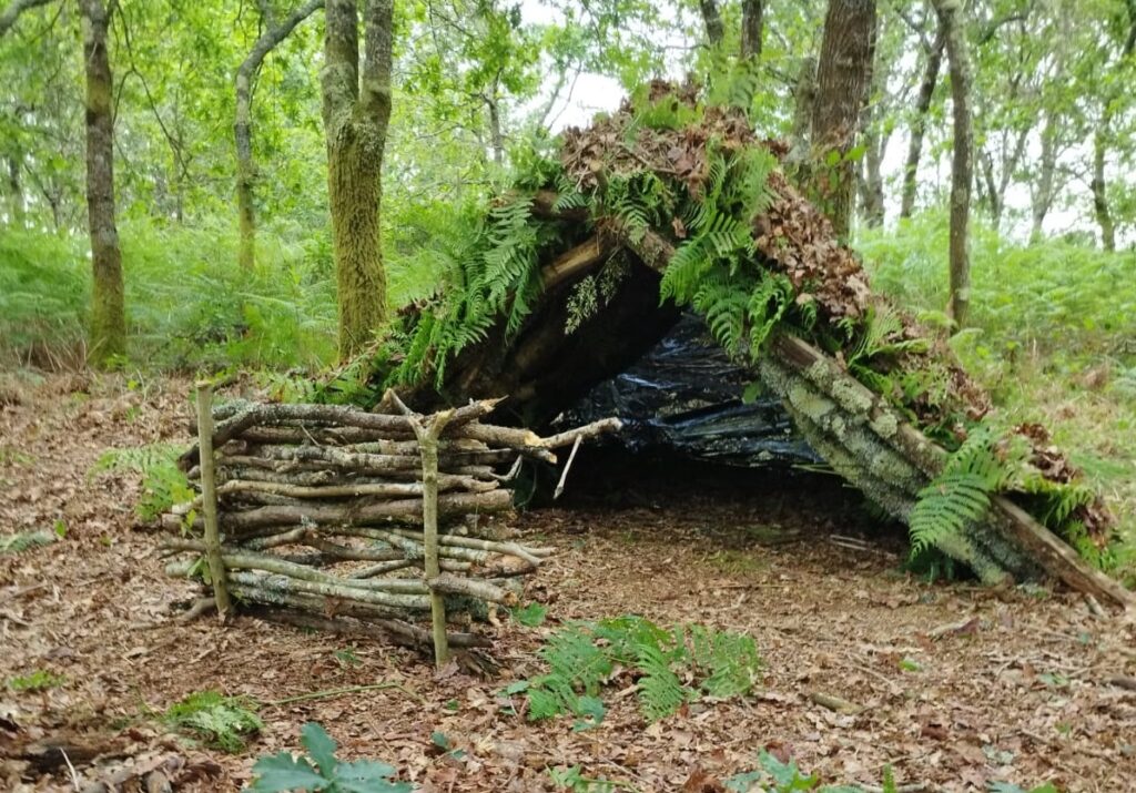Curso básico de Supervivencia y Emergencias en el medio natural TEMN I (Marzo)