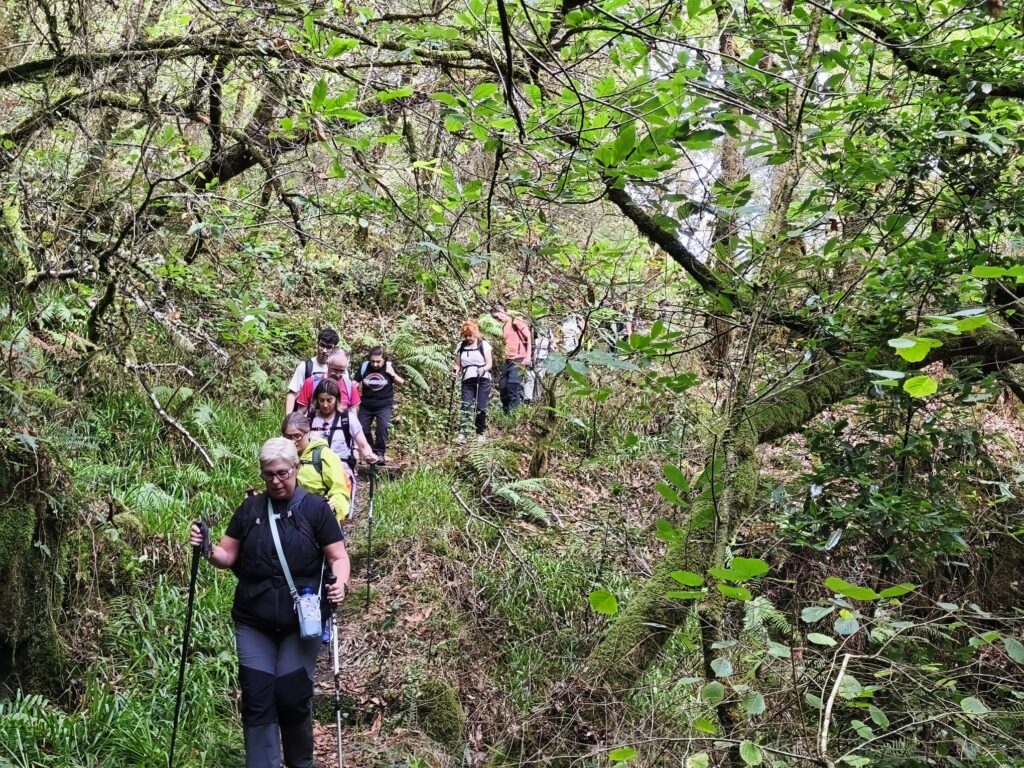 Ruta de senderismo y Taller de Mindfulness en Fragas do Eume (07 junio)