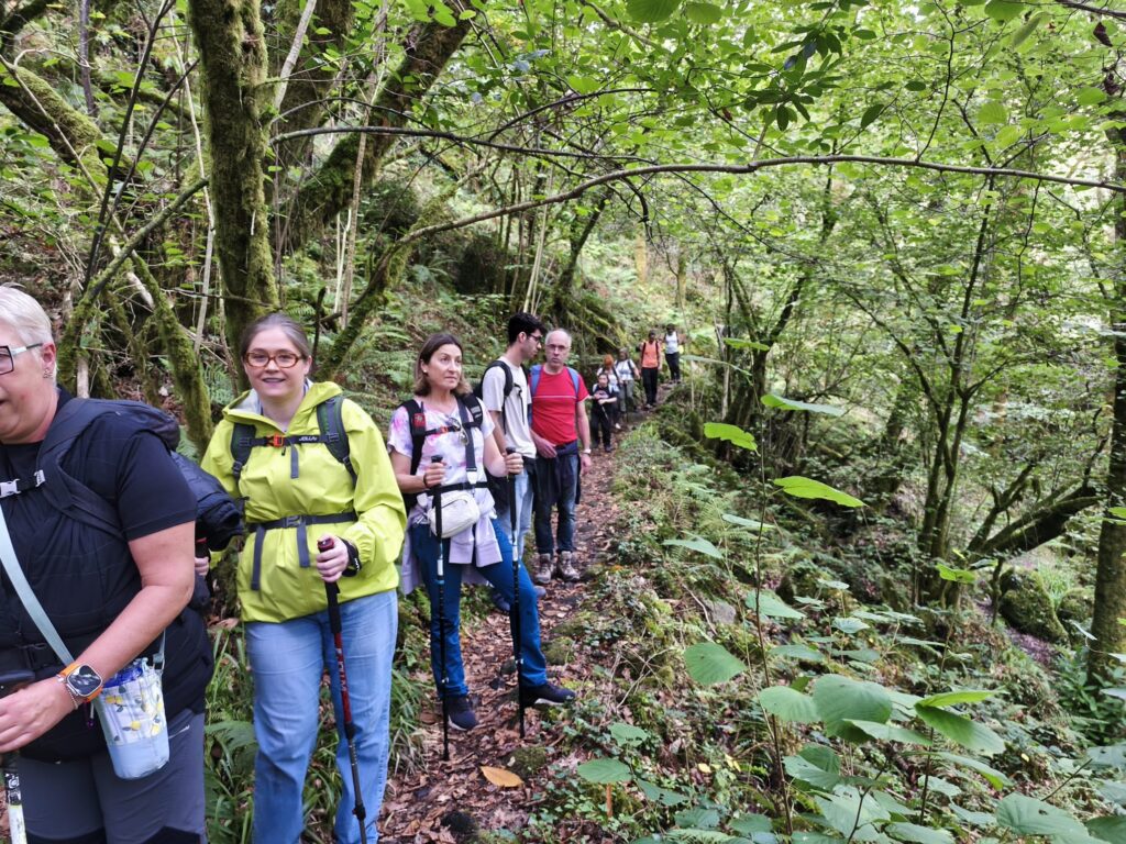 Ruta de senderismo y Taller de Mindfulness en Fragas do Eume (07 junio)
