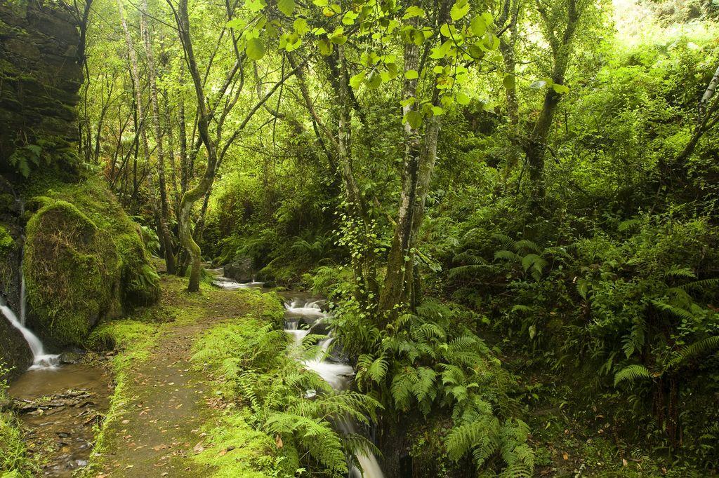 Ruta de senderismo "Senderos de la vida oculta"  (29 de Marzo , 2026)