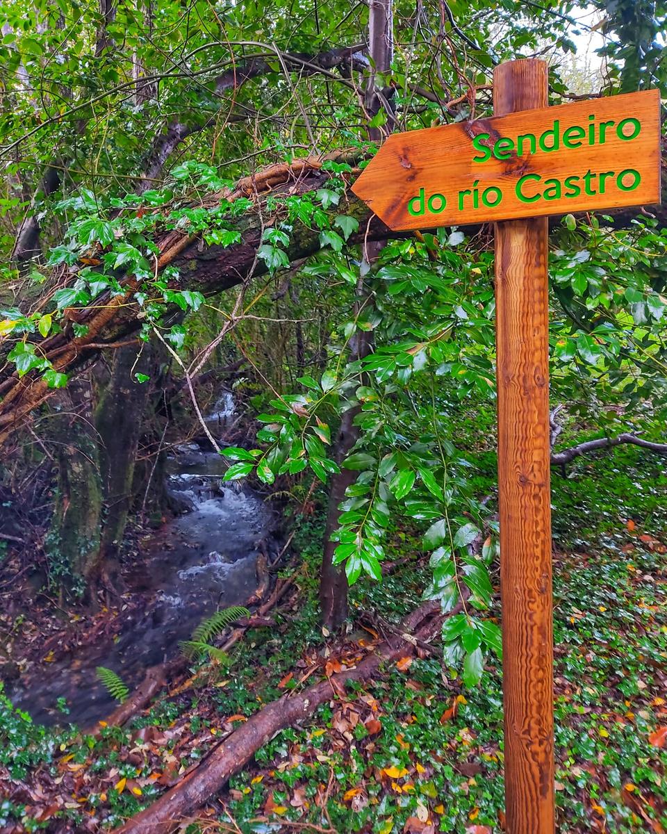 Ruta de senderismo. Sendeiros do rio Castro, fervenza de Naraio e Castelo.  (22 DE MARZO)