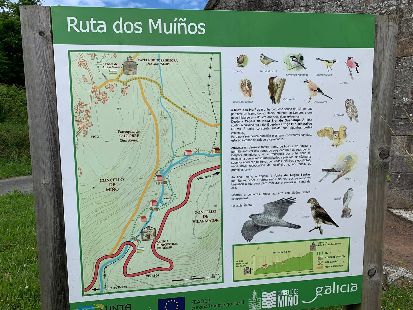Senderos de la vida oculta. Ruta dos Muíños do Río Medio (5 de julio)