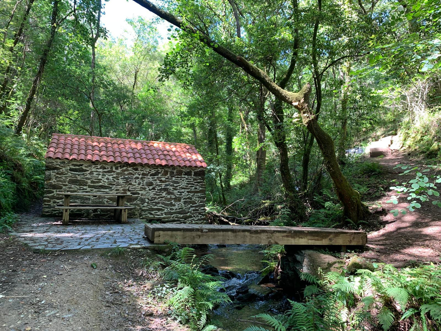 Senderos de la vida oculta. Ruta dos Muíños do Río Medio (5 de julio)