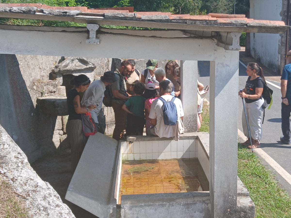 Senderos de la vida oculta. Ruta de Chelo y el río Mandeo ( 10 de Octubre)