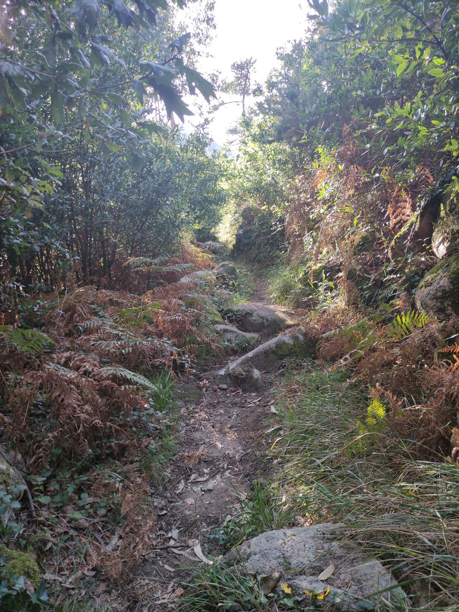 Ruta de senderismo al Monte Pindo desde O Pindo “El Olimpo Gallego” (19 Julio)