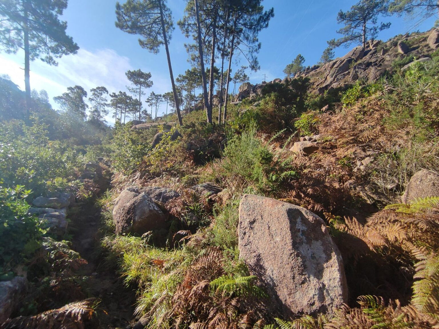 Ruta de senderismo al Monte Pindo desde O Pindo “El Olimpo Gallego” (19 Julio)