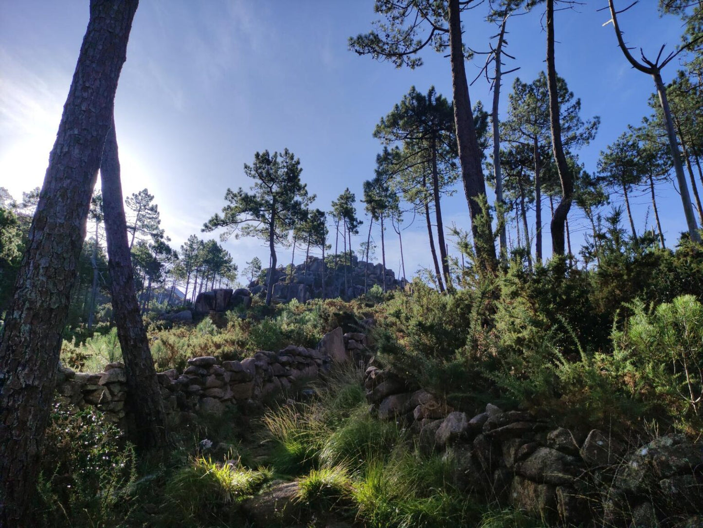 Ruta de senderismo al Monte Pindo desde O Pindo “El Olimpo Gallego” (19 Julio)