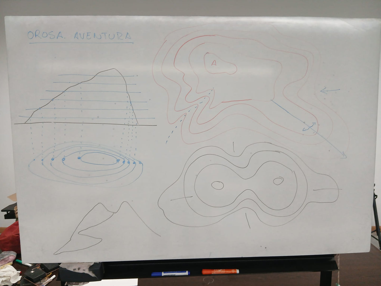 Curso básico de orientación en la naturaleza. Online