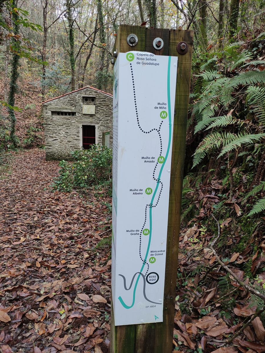 Senderos de la vida oculta. Ruta dos Muíños do Río Medio (5 de julio)